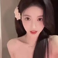 掌上版本入口